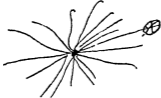 Рисунок Л. Н. Толстого в дневнике